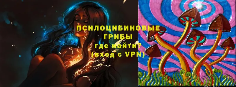 Галлюциногенные грибы Magic Shrooms  Луховицы 